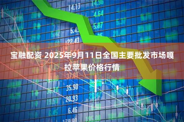 宝融配资 2025年9月11日全国主要批发市场嘎拉苹果价格行情