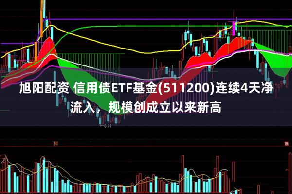 旭阳配资 信用债ETF基金(511200)连续4天净流入，规模创成立以来新高