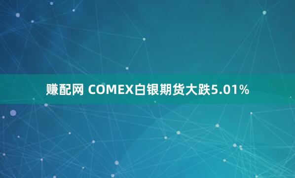 赚配网 COMEX白银期货大跌5.01%