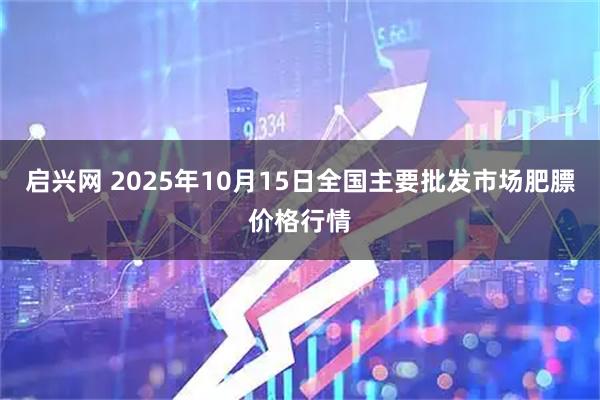 启兴网 2025年10月15日全国主要批发市场肥膘价格行情