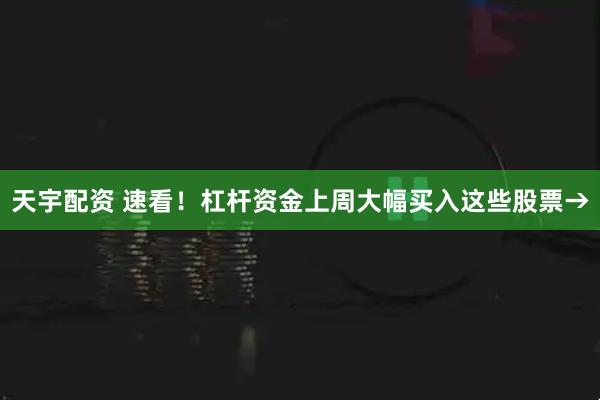 天宇配资 速看！杠杆资金上周大幅买入这些股票→