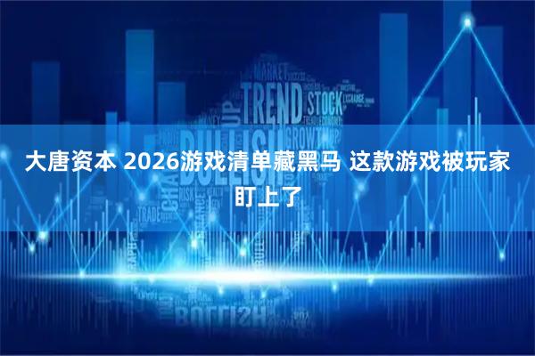 大唐资本 2026游戏清单藏黑马 这款游戏被玩家盯上了
