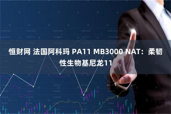 恒财网 法国阿科玛 PA11 MB3000 NAT：柔韧性生物基尼龙11