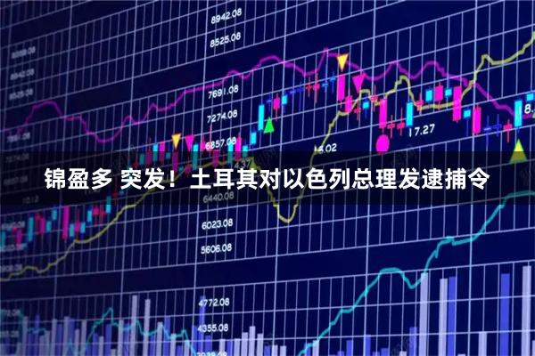 锦盈多 突发！土耳其对以色列总理发逮捕令