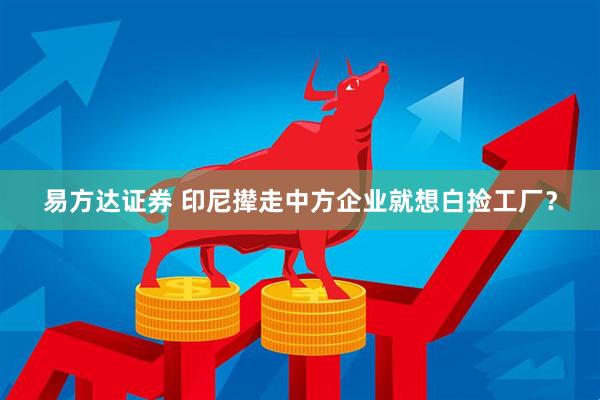 易方达证券 印尼撵走中方企业就想白捡工厂？
